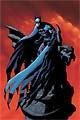 Batman, 12 issues for 1 year(s)