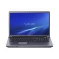 Sony VAIO VGN-AW170Y/Q Laptop