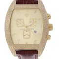 Aqua Master Men's Diamond Case Watch