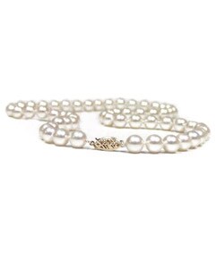 Cultured Freshwater Pearl Necklace (7.5-8 mm) (Case of 3)