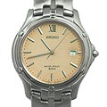 Seiko Stainless Steel Men's Watch
