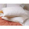 Luxury Soft Goose Down Pillows (Set of 2)