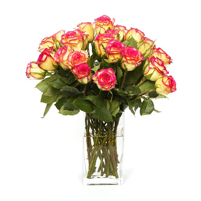 http://cdn.overstock.com/images/products/L10182371.jpg