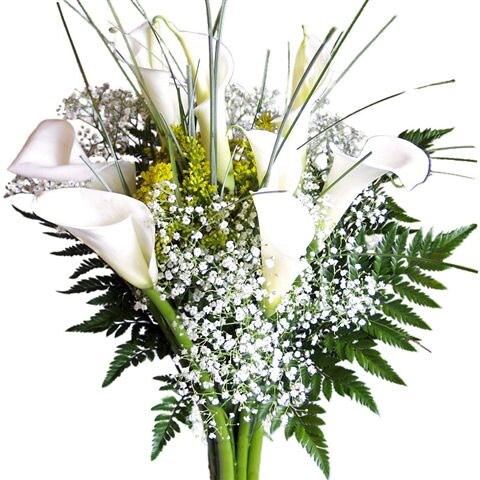 http://cdn.overstock.com/images/products/L10684995.jpg