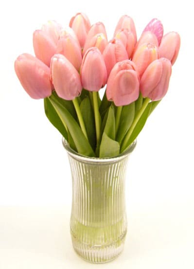 http://cdn.overstock.com/images/products/L11043778.jpg