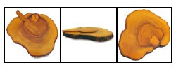 Olive Wood Cheese Board (Peru)