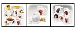 Six-piece  Dog & Owner Accessory Set
