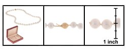 Akoya Cultured White Pearl Necklace (8.5-9mm/18