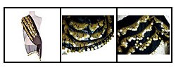 Black Belly Dancing Scarf (Egypt)