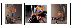 Golds Gym Power Flex (GGSY2921)