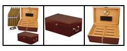 Cuban Combo No. 3 Perfecto Humidor with Cigars