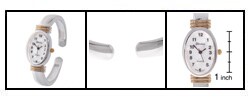 Geneva Platinum Women's Oval Face Bangle Watch