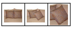 Hand-woven Paisley Jacquard Throw Pillows (India)