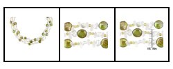 Cultured Freshwater Coin Pearl Gemstone Necklace