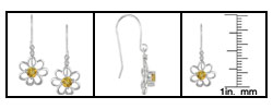 10k White Gold Citrine November Birthstone Earrings