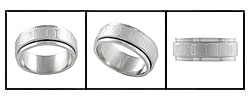 Stainless Steel Roman Numeral Spinner-style Band