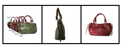 Rina Rich Rodeo Satchel