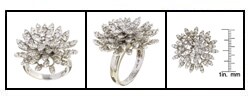 14k White Gold and 3 5/8ct TDW Diamonds Flower Ring