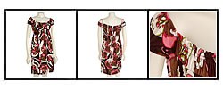 Muse Women's Poet Print Dress