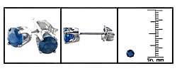 14k White Gold Blue Sapphire Stud Earrings