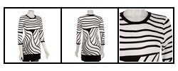 Dolce Cabo Women's Printed Crewneck Tunic