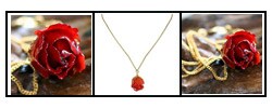 22k Goldplated 'Crimson Beauty' Rose Necklace (Thailand)