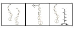 14k Gold Freshwater Pearl Journey Earrings (3-7.5 mm)