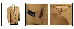 Bill Blass Men's Camel Hair 2-button Sportcoat