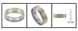Stainless Steel Goldtone Center Ring
