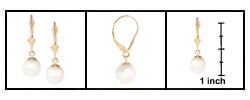 Cultured Akoya Pearl Leverback Earrings (8-8.5 mm) (Case of 5)