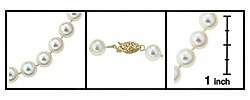 14k Cultured Akoya Pearl Strand (8-8.5mm/18in)