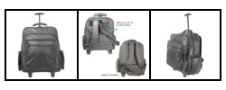 APC Leather Backpack on Wheels