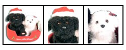 Singing Plush Christmas Dogs