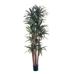 Silk Dracena 6.5-foot Tree