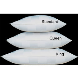 Italian Check 1000 Thread Count Goose Down Pillow