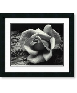 Ansel Adams Rose and Driftwood, San Francisco, California, 1932 Framed Art Print