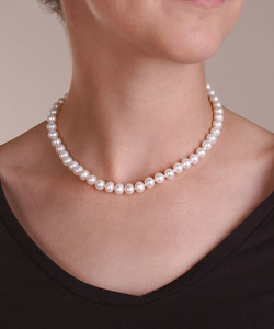 14k Gold Cultured Freshwater Pearl Necklace (7.5-8 mm/ 16 in)