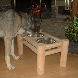 Adirondack Cedar  Dog Feeder