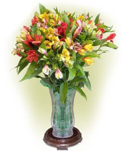 Simply Alstroemeria Lilies Floral Arrangement