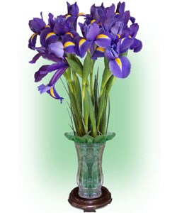 Simply Blue Irises Bouquet