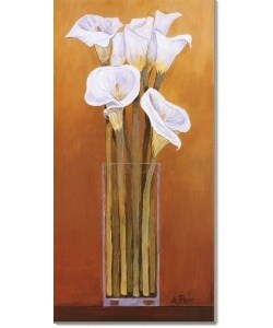 Ann Parr Calla On Gold Canvas Art