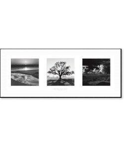 Ansel Adams Fiat Lux: Trilogy Framed Print