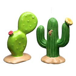 Cactus Salt & Pepper Shaker Set