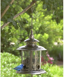 Nicholas Cole Aviana Birdfeeder