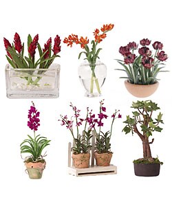 Miniature Arrangement Assortment 3 (Group of Six)