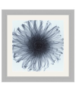 Steven N. Meyers Dahlia Framed Art Print