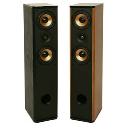 Premier PA-6F Floor Standing Speakers (Set of 2)