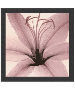 Steven N. Meyers Lily Framed Canvas Art