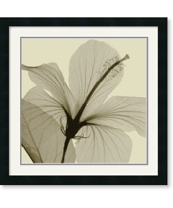 Steven N. Meyers Hibiscus Framed Art Print