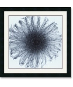Steven N. Meyers Dahlia Framed Art Print